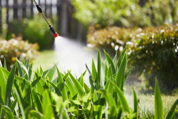 24/7 Emergency Ant Control experts in Salix, PA