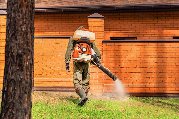 Trusted Bed Bug Control service in Salix, PA - Nex Pest Control